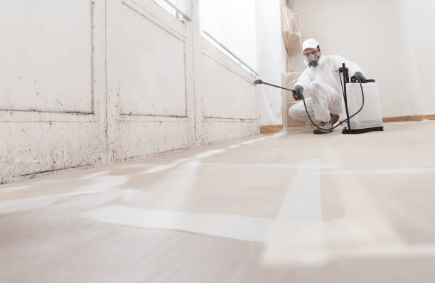 24/7 Emergency Black Mold Remediation experts in Franklin, TN